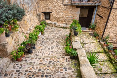 Renkli bitki ve çiçeklerle dolu merdivenleri ve saksıları olan dar bir sokak. Valderrobres, Teruel.