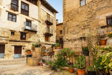 Evlerin, Valderrobres 'in, Teruel' in yanında kaldırımlı merdivenleri, yeşil bitkileri ve çiçekleri olan güzel bir cadde.