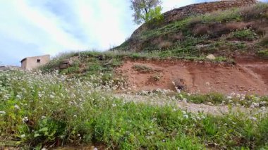 Ortaçağ Valderrobres köyünde kır çiçekleriyle dolu bir patika Teruel.