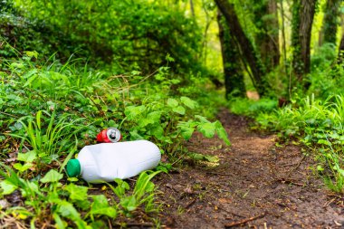 Orman yolunda çöp ve plastik, doğada kirlilik