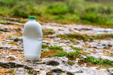 Ormanın zeminine atılan beyaz plastik şişe doğayı kirletiyor.