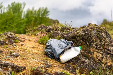 Orman yolunda çöp ve plastik, doğada kirlilik