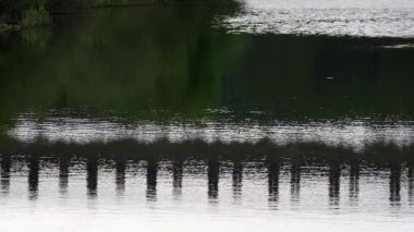 Arkaplan için soyut bir çekimde ağaçların ve gökyüzünün sularındaki yansıma