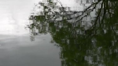 Arkaplan için soyut bir çekimde ağaçların ve gökyüzünün sularındaki yansıma