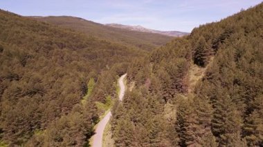 Vadi boyunca uzanan yol Akdeniz 'deki yüksek çam ağaçlarıyla çevrilidir.