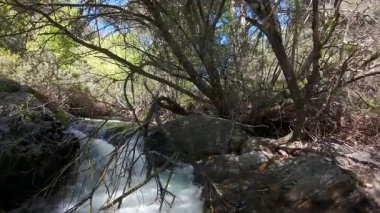 Dağdan inen kristal berrak sular, insansız hava aracının dalların arasından geçişi, Guadarrama, Madrid.