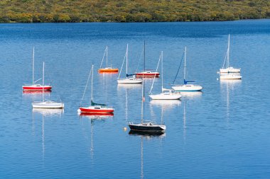 Güneşli yaz günlerinde mavi suların tadını çıkarmak için yelkenli kullanıyorlar..