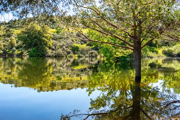 Atazar Gölü Madrid 'de şiddetli kış yağmurları nedeniyle yükselen su seviyesi