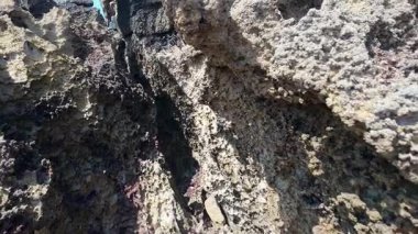 Kuzey İspanya, Costa Quebrada, Liencres sahillerindeki kaya oluşumları.