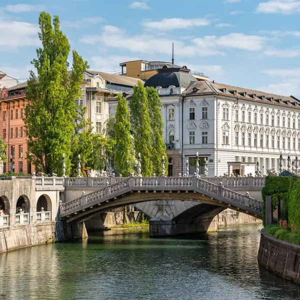 Ljubljanica Nehri üzerindeki üç ünlü köprü Slovenya 'nın başkenti Ljubljana' dan geçiyor.