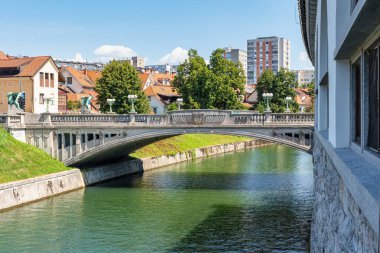 Slovenya 'nın başkenti Ljubljana' nın simgesi olan Ljubljanica Nehri 'ni geçen ejderhalı köprü