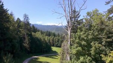 Slovenya 'nın dağlarla ve tatil evleriyle çevrili olan Bled Gölü' nün panoramik manzarası