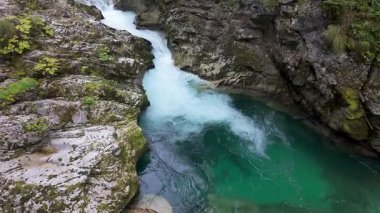 Slovenya 'nın Vintgar Vadisi' ndeki ağaçların dallarından gelen ışık ve yansımalarıyla muhteşem bir manzara.