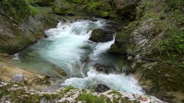 Slovenya 'nın Vintgar Vadisi' ndeki kayaların arasından akan şelale.