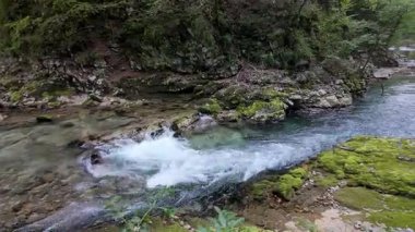 Slovenya 'nın Vintgar Vadisi' ndeki ağaçların dallarından gelen ışık ve yansımalarıyla muhteşem bir manzara.