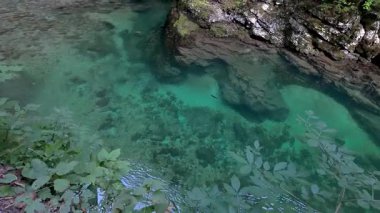 Slovenya 'nın Vintgar Vadisi' ndeki kayalar arasında dolaşan kristal berrak su