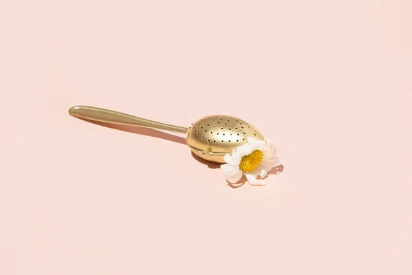 茶匙中的洋甘菊花 最小创意草本概念 粉红粉底 — 图库照片