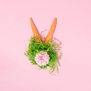 İki havuç ve pastel pembe karanfil çiçeği, yaratıcı Paskalya tavşanı konsepti. Asgari yay düzeni.
