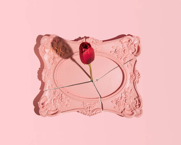 Трещины овальные винтажные рамки картины, красный цветок растет из трещины, ретро эстетическая, творческая цветочная концепция.