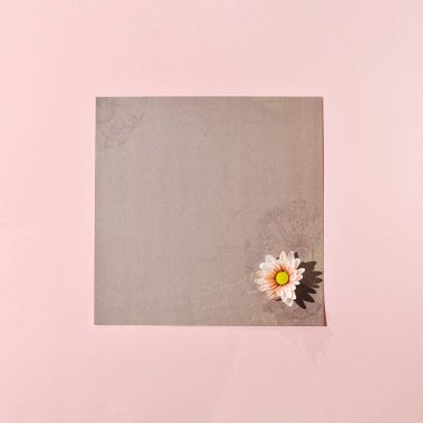 Kağıt pastel, kahverengi, süslemeli pembe papatya çiçeği, yaratıcı kopya alanı, tebrik kartı, davetiye..