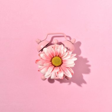 Eski tarz alarm saati üzerinde bahar bahçesi çiçeği, en az pembe bahar kompozisyonu.