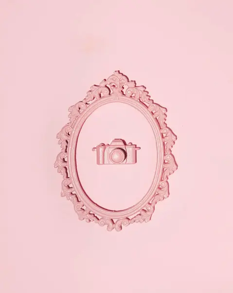 Photo camera in oval picture frame, 3d creative wall decoration, pastel pink background.