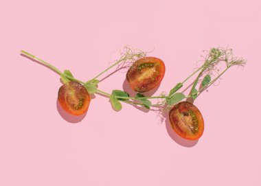 Kiraz domatesleri, pastel pembe arka planda yaratıcı yaz sebze düzenlemesi..