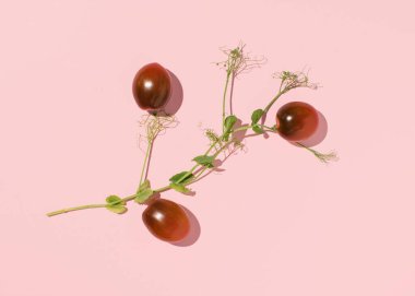 Kiraz domatesleri, pastel pembe arka planda yaratıcı salata düzenlemeleri..