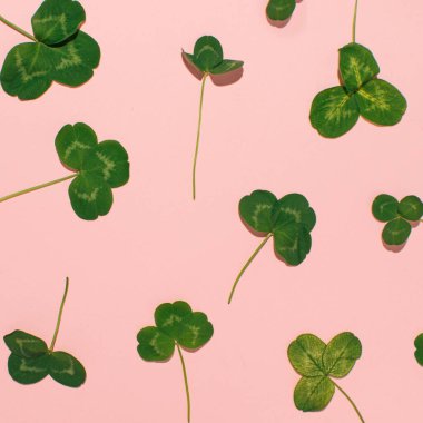 Yonca yaprakları pastel pembe arka plana saçılmış, yaratıcı, bahar doğası esinlenmiş desen.