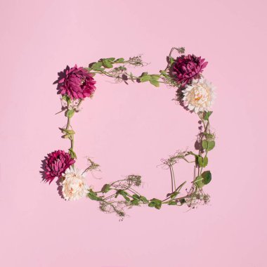 Taze bahar bitkilerinin kare çerçevesi ve pastel pembe arka planda çiçekler, yaratıcı kopya alanı.