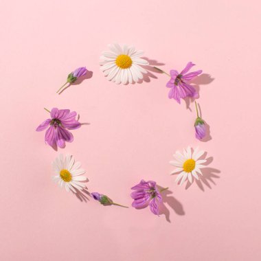 Vahşi bahar çiçekleri, basit halka çelenkler. Minimum, romantik çiçekli düz kompozisyon, yaratıcı kopya alanı, tebrik kartı.