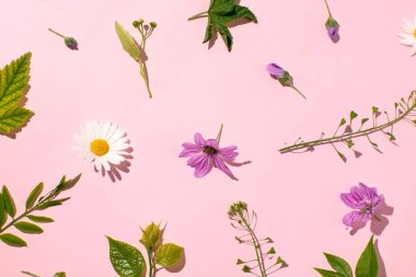 Pastel pembe arka planda taze bahçe çiçekleri, basit yassı bahar çiçekli duvar kağıtları..
