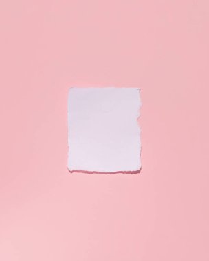 Pastel pembe arka plana yapıştırılmış boş bir kağıt parçası. Yaratıcı kopya alanı..