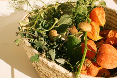 Tahta masada taze mantar ve otlarla dolu bir sepet.