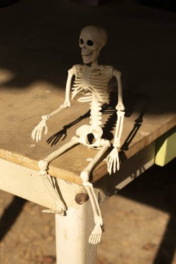 Ürkütücü Cadılar Bayramı süslemesi, ahırda bir iskelet oturuyor.