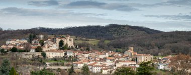 black capped chickadee or Willow tit (Poecile montanus) on a branch