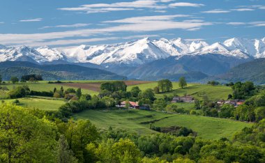 Baharda Fransa 'nın güneybatısında Pirene Dağları' nın arka planında manzara