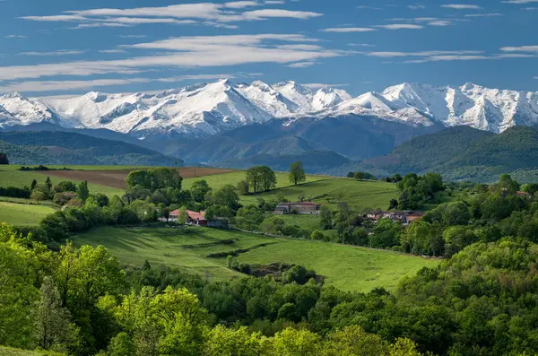 Baharda Fransa 'nın güneybatısında Pirene Dağları' nın arka planında manzara
