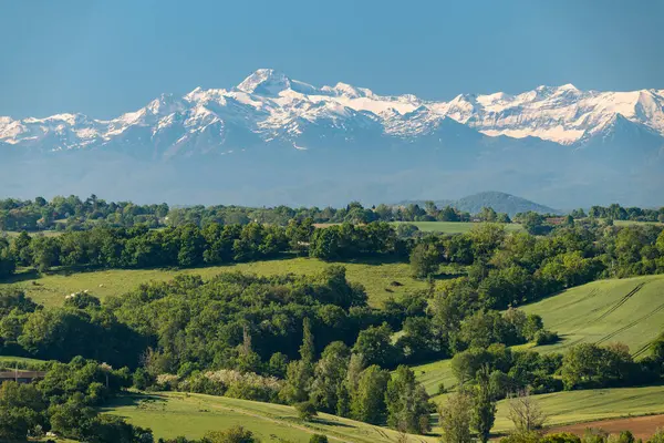 stock image Landscape of southwestern France in Gers department with the Pyrenees mountains in the background