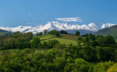 Baharda Fransa 'nın güneybatısında Pirene Dağları' nın arka planında manzara