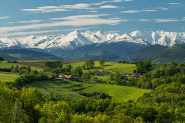 Baharda Fransa 'nın güneybatısında Pirene Dağları' nın arka planında manzara
