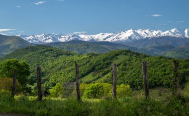 Baharda Fransa 'nın güneybatısında Pirene Dağları' nın arka planında manzara