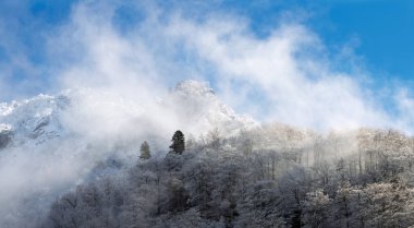 Siste karlı kış manzarası. Kışın Pireneler Dağı.