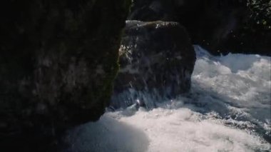 Arige Pirenesi 'ndeki ormanda küçük bir alabalık nehri.