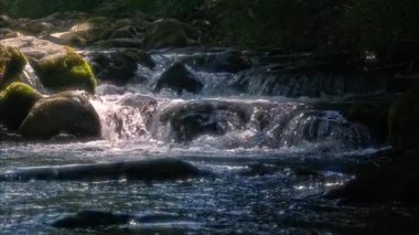 Dağ sularının yavaş çekimde aktığı cennet manzarası
