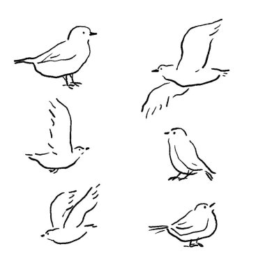 Kuş Vektör Satırı Çizim Ayarları