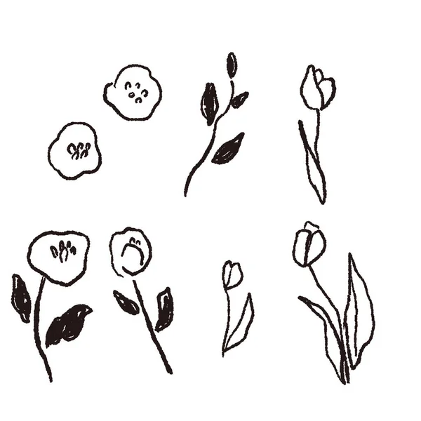 Vector Line Drawing Set Flowers — Stock Vector