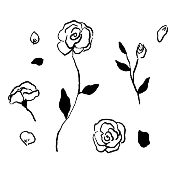Vector Línea Dibujo Conjunto Rosa Flores — Archivo Imágenes Vectoriales