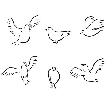 Bir kuşun çizgi çiziminin vektör çizimi
