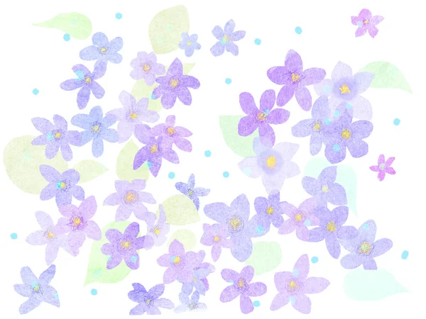 Bloemen Aquarel Achtergronden Web Graphics — Stockfoto